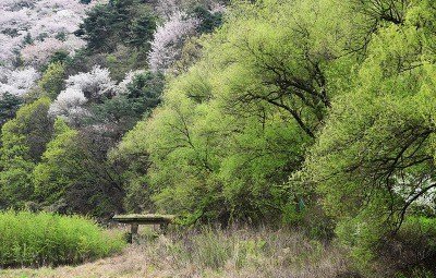 카카오스토리_2025_04_29 17_56_14.jpg : 봄날에