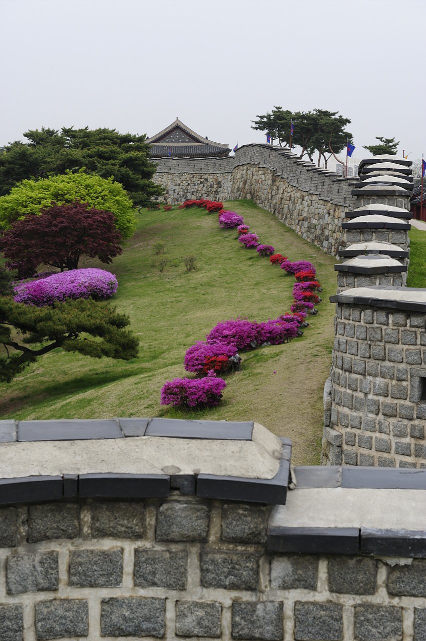 _DSC7718.jpg : 봄의 수원화성