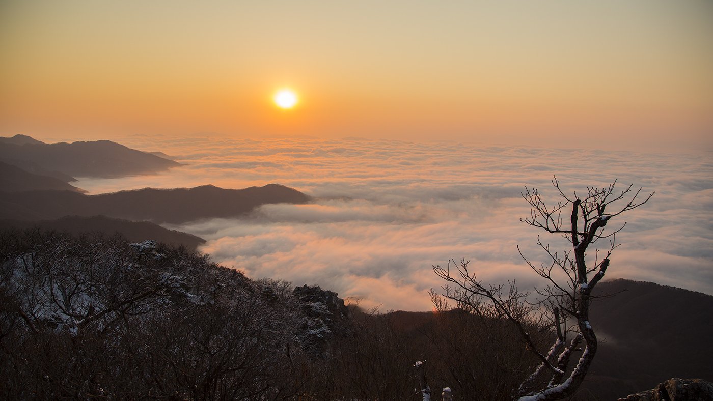 _92A8479-1.jpg : 백운봉 백패킹