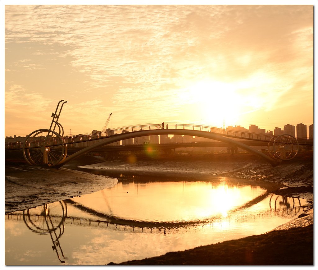 DSC_7093.jpg : 미생의 다리