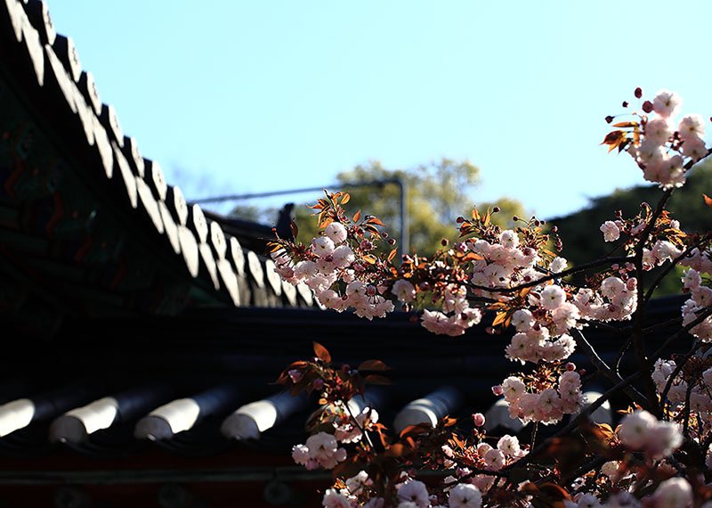 IMG_0005-.jpg : 봄 나들이 정모 IMG_0005-.jpg : 봄 나들이 정모