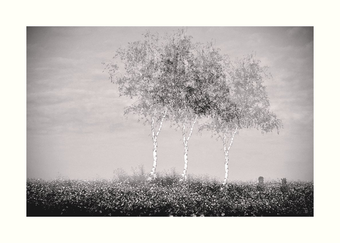 IMG_20181006_161329.jpg : 철원십리길