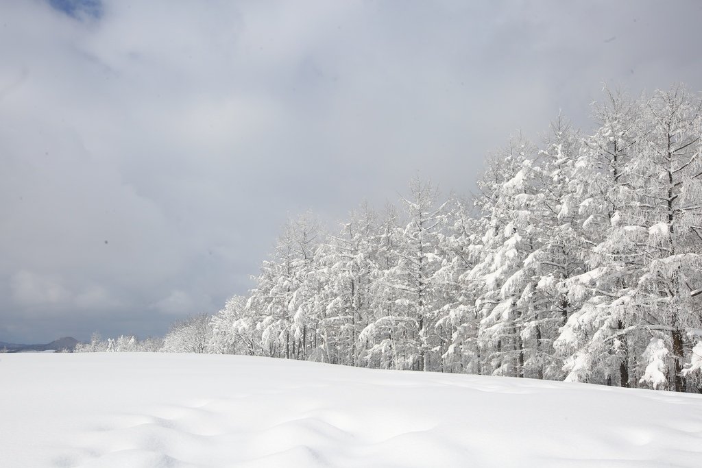 5K5A5478_2.JPG : 겨울이 떠나기전에