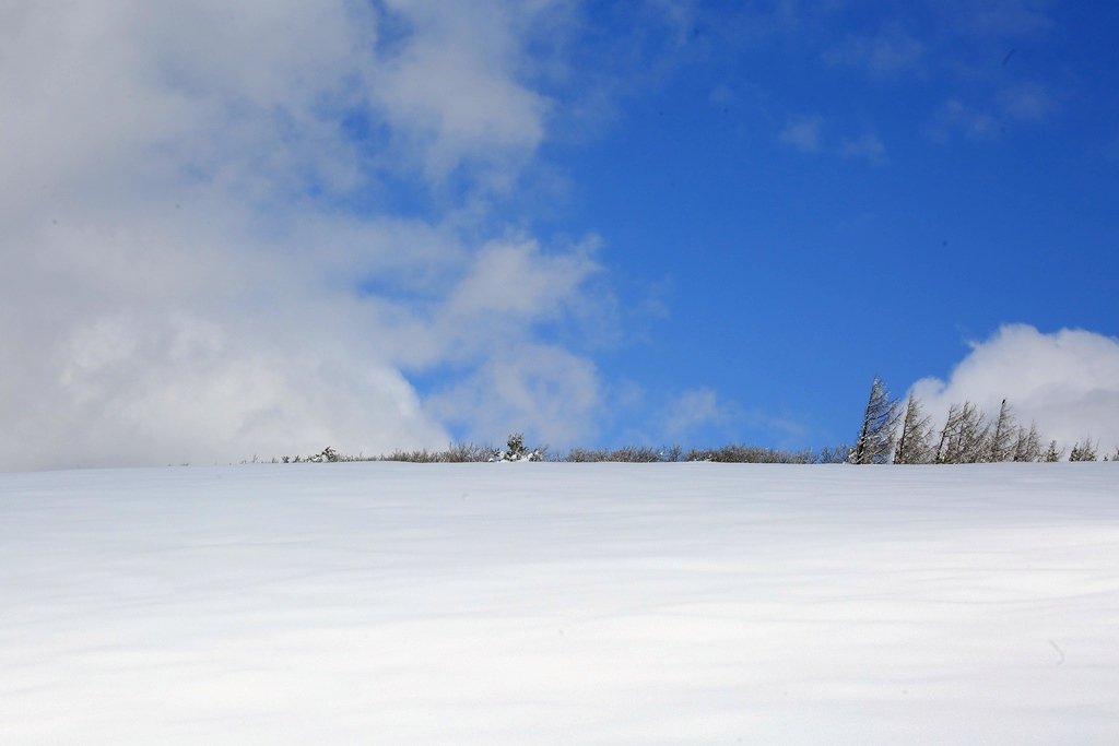 5K5A5526.JPG : 겨울이 떠나기전에