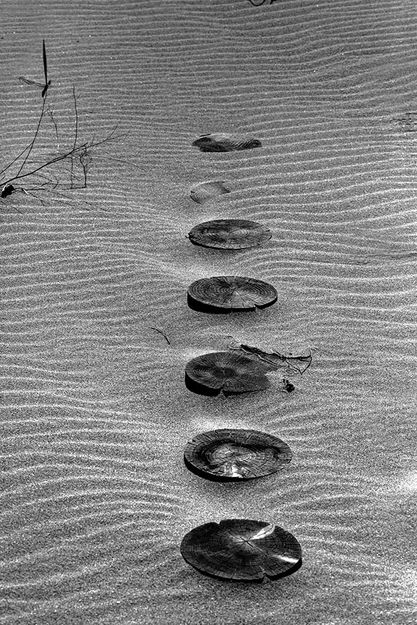 HVaxx9A9652.jpg : G선상의 아리아 HVaxx9A9652.jpg : G선상의 아리아