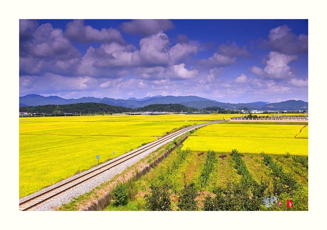 IMG_20171004_101909.jpg : 가을 기차