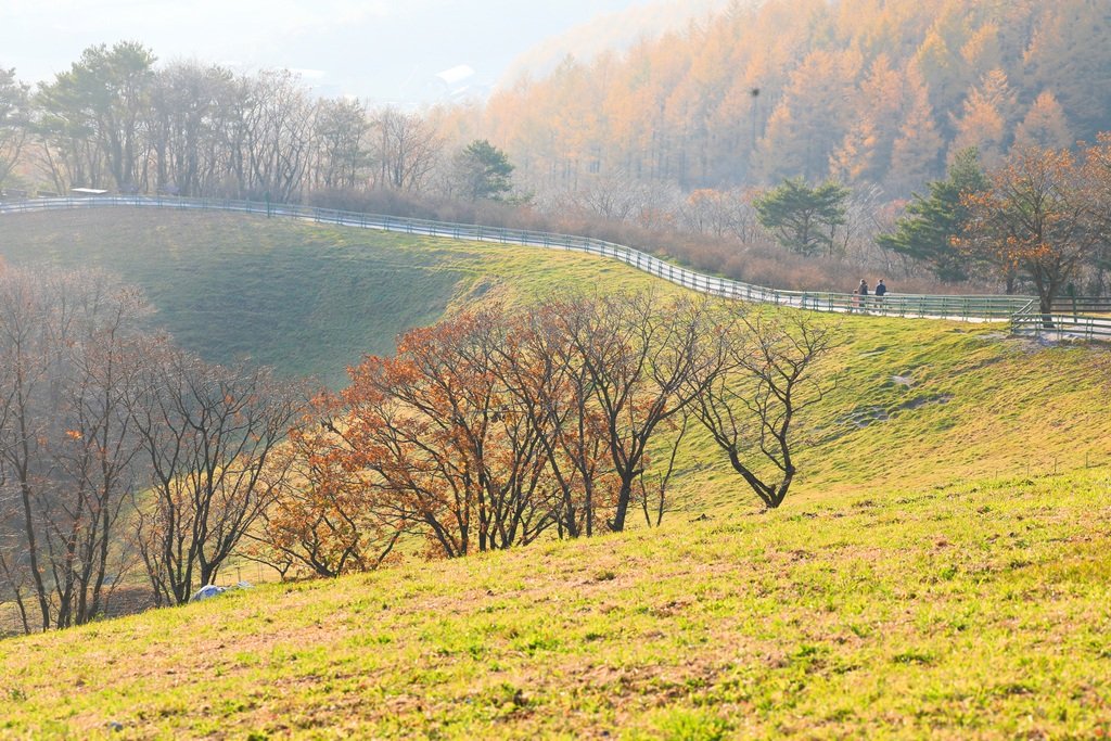 049A0281-20201028.jpg : 가을풍광