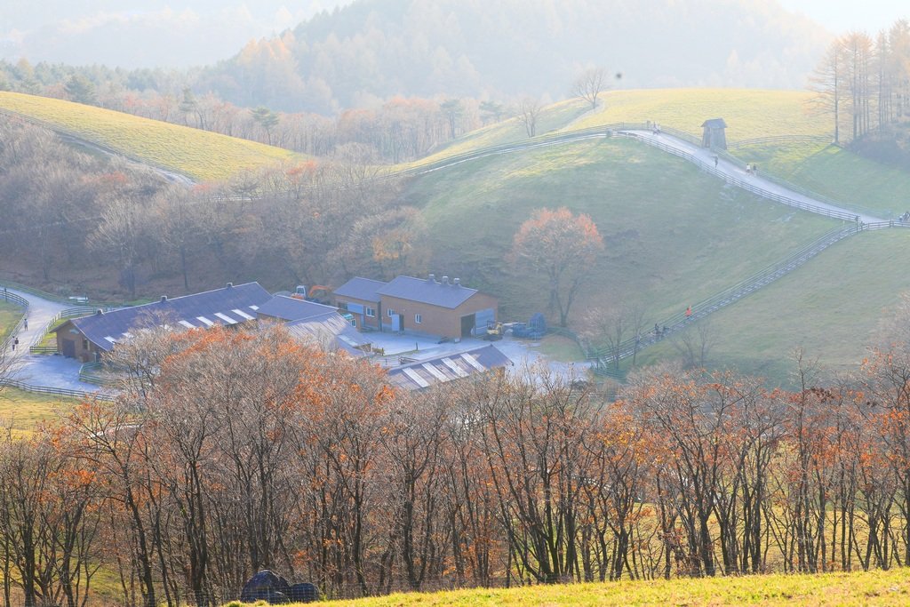 049A0282-20201028.jpg : 가을풍광