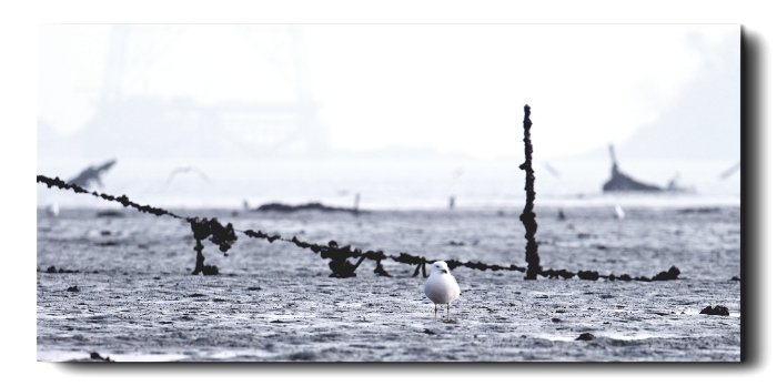 20180120_230608.jpg : 일상의 놀이터