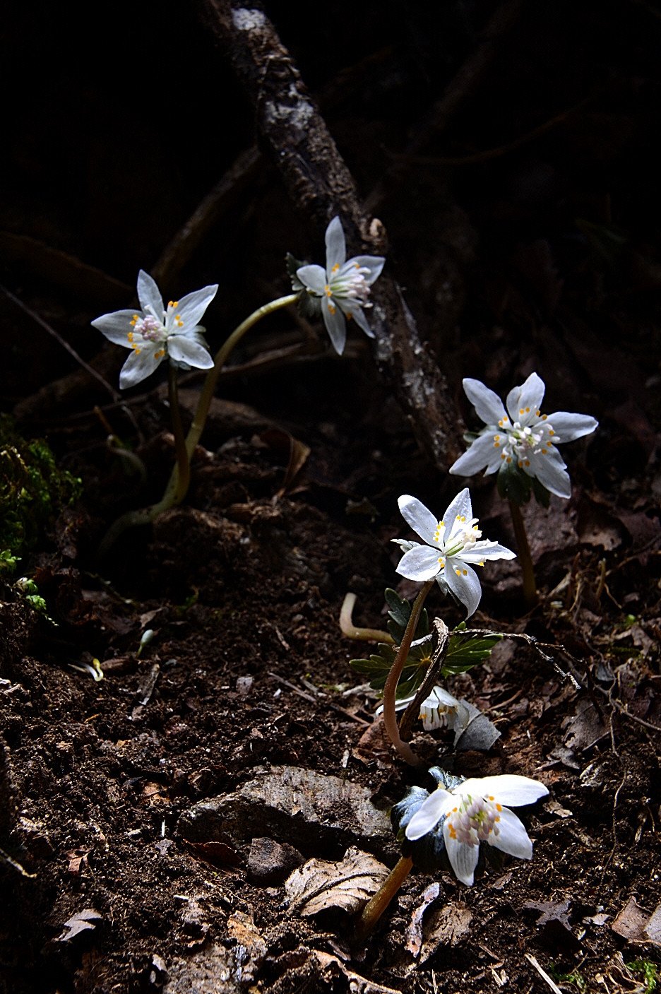 DSC_2039.JPG : 정모 숙제~~