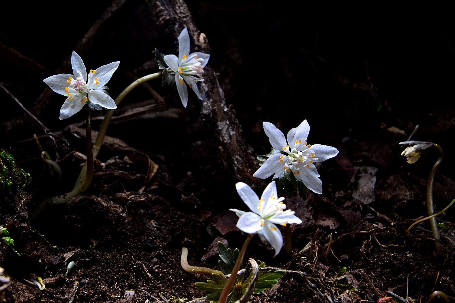 DSC_2120.JPG : 정모 숙제~~