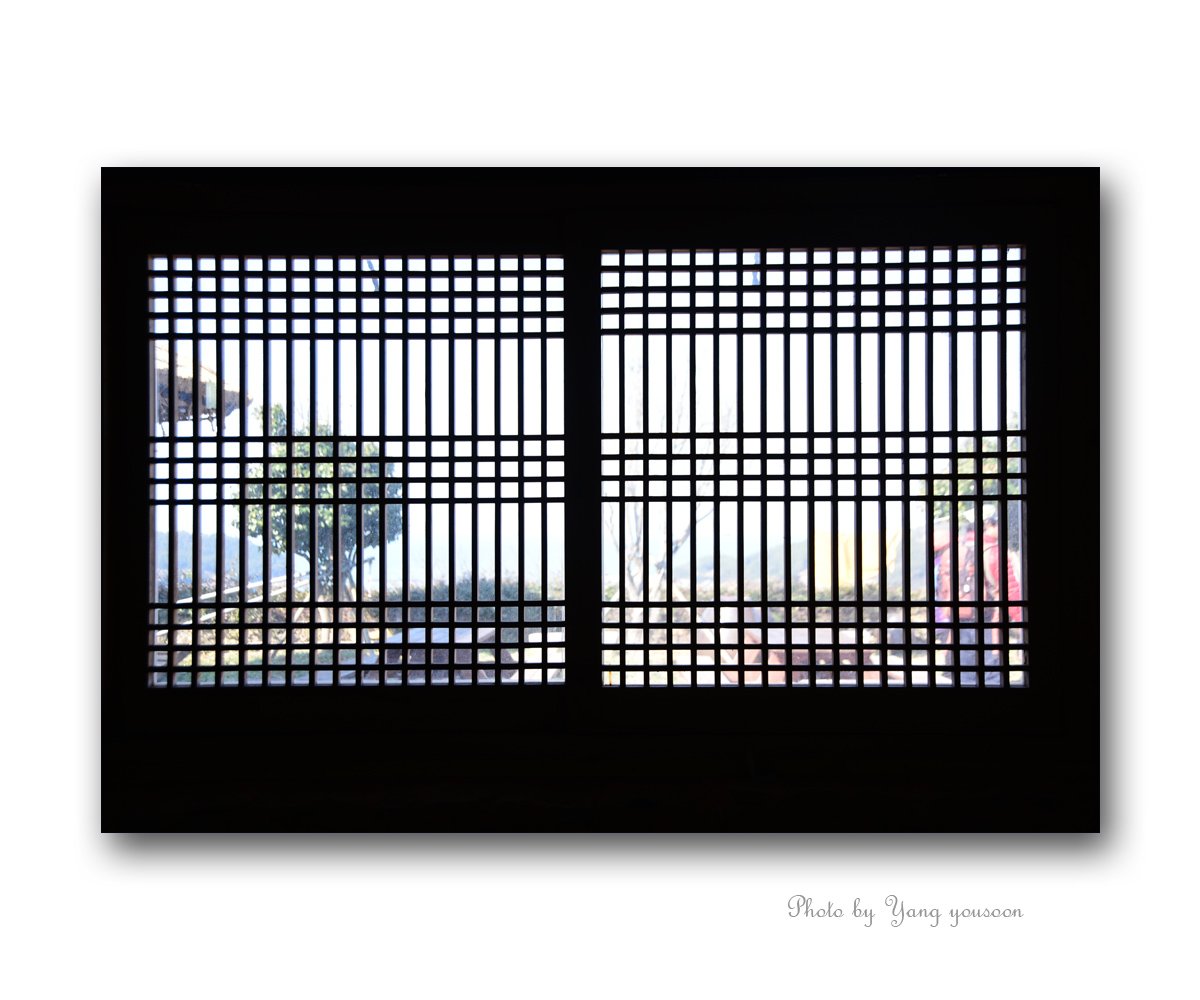 청산도.jpg : 청산도 정모 청산도.jpg : 청산도 정모