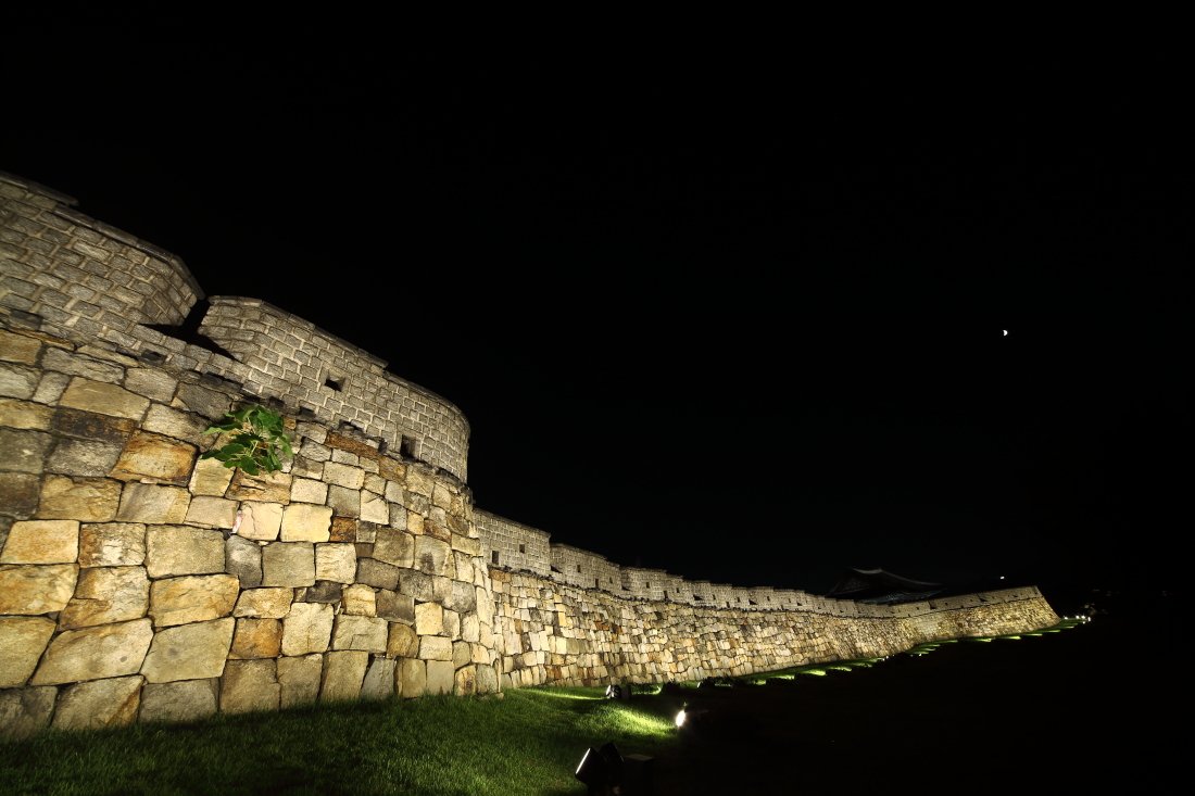 IMG_9406.JPG : 우리집 담벼락