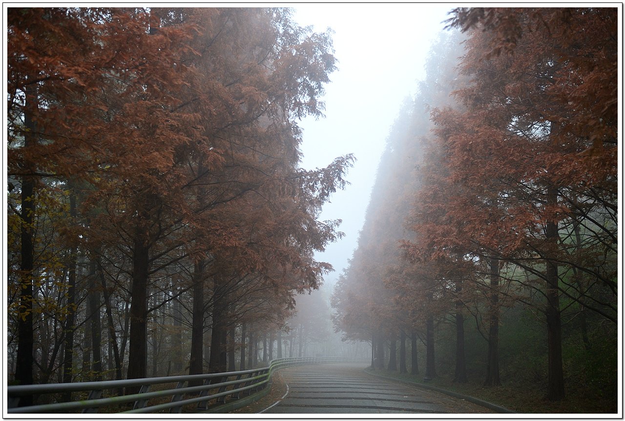 _DSC1873_014.jpg : 가까운곳 멋진풍경