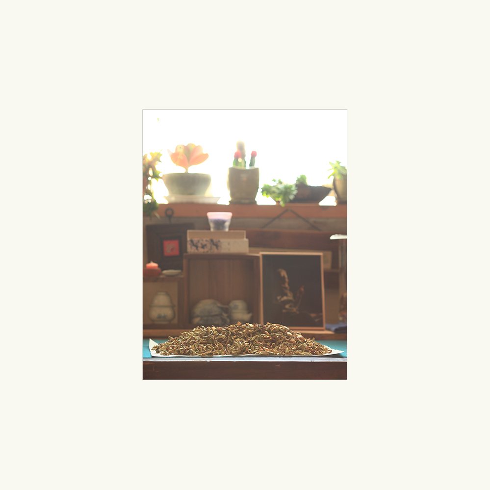 IMG_9832-1.jpg : 살림의 재미.. IMG_9832-1.jpg : 살림의 재미..