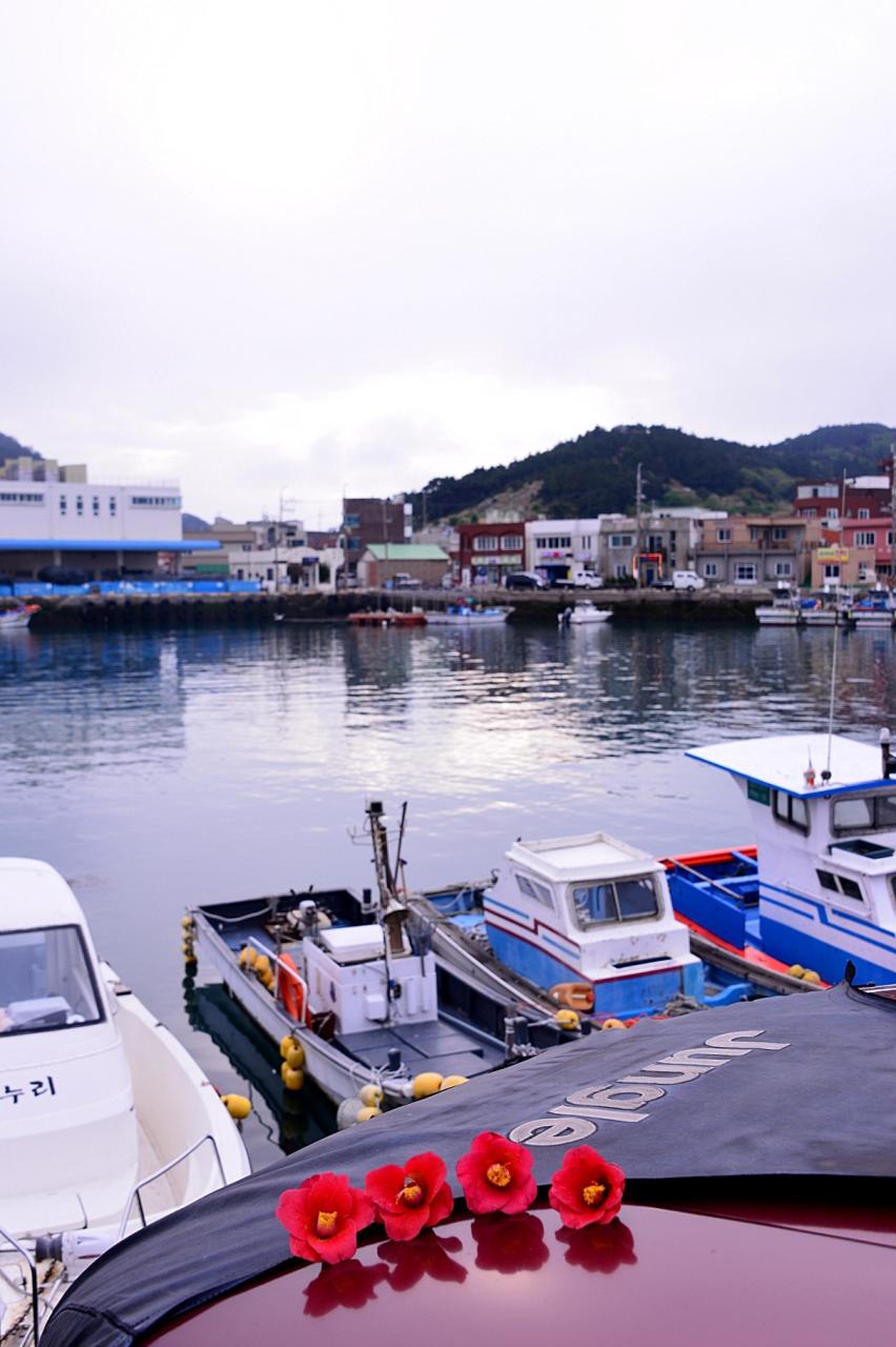 BandPhoto_8606299317.jpg : 봄.바다 BandPhoto_8606299317.jpg : 봄.바다