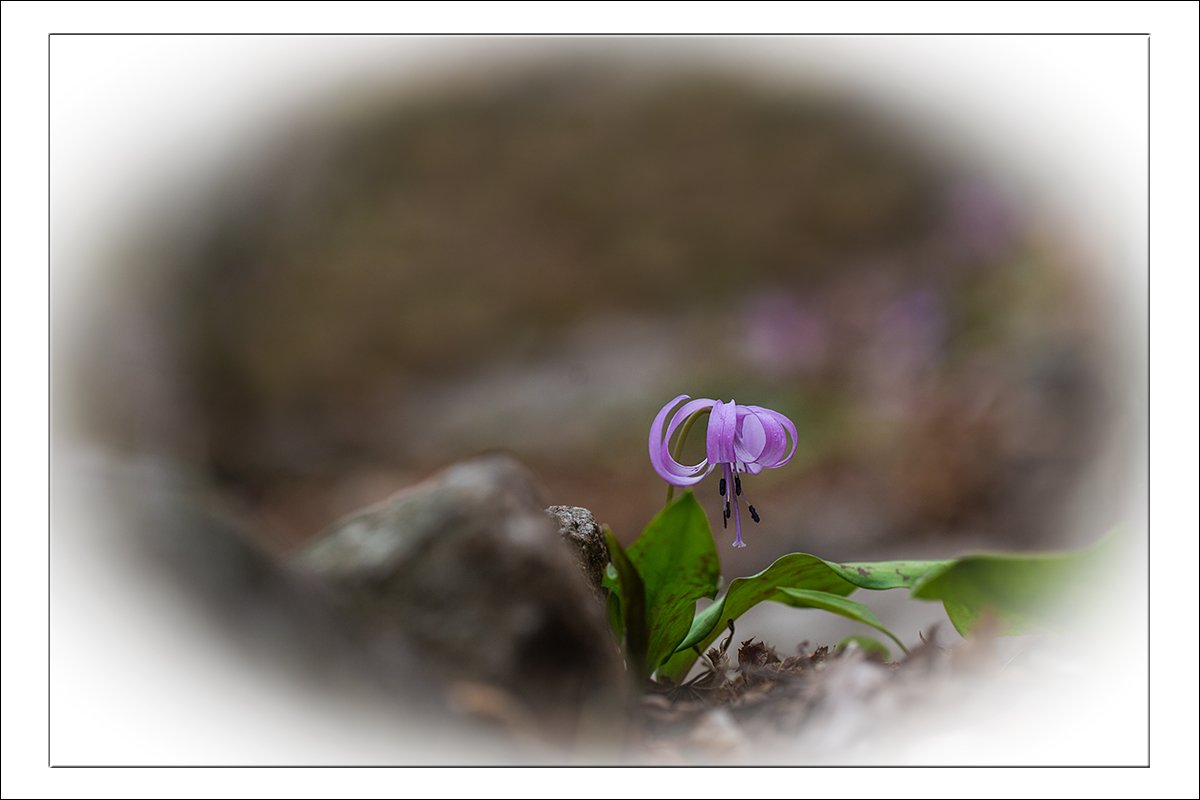 3173-2.jpg : 정모 숙제