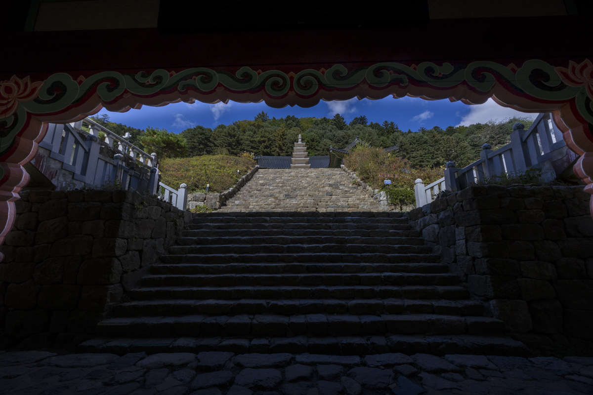 4P7A3352-편집.jpg