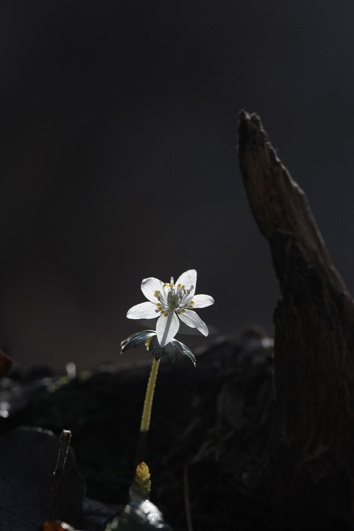 크기변환_6T6I8135.jpg : 정모 인증샷