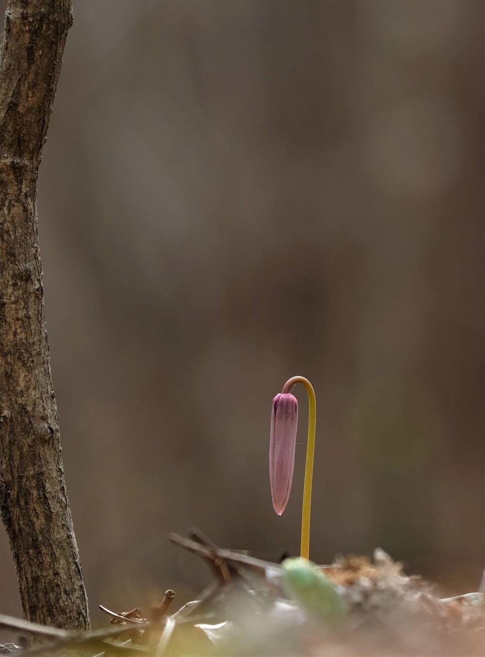 DSCF5440.jpg : 화야산 정모