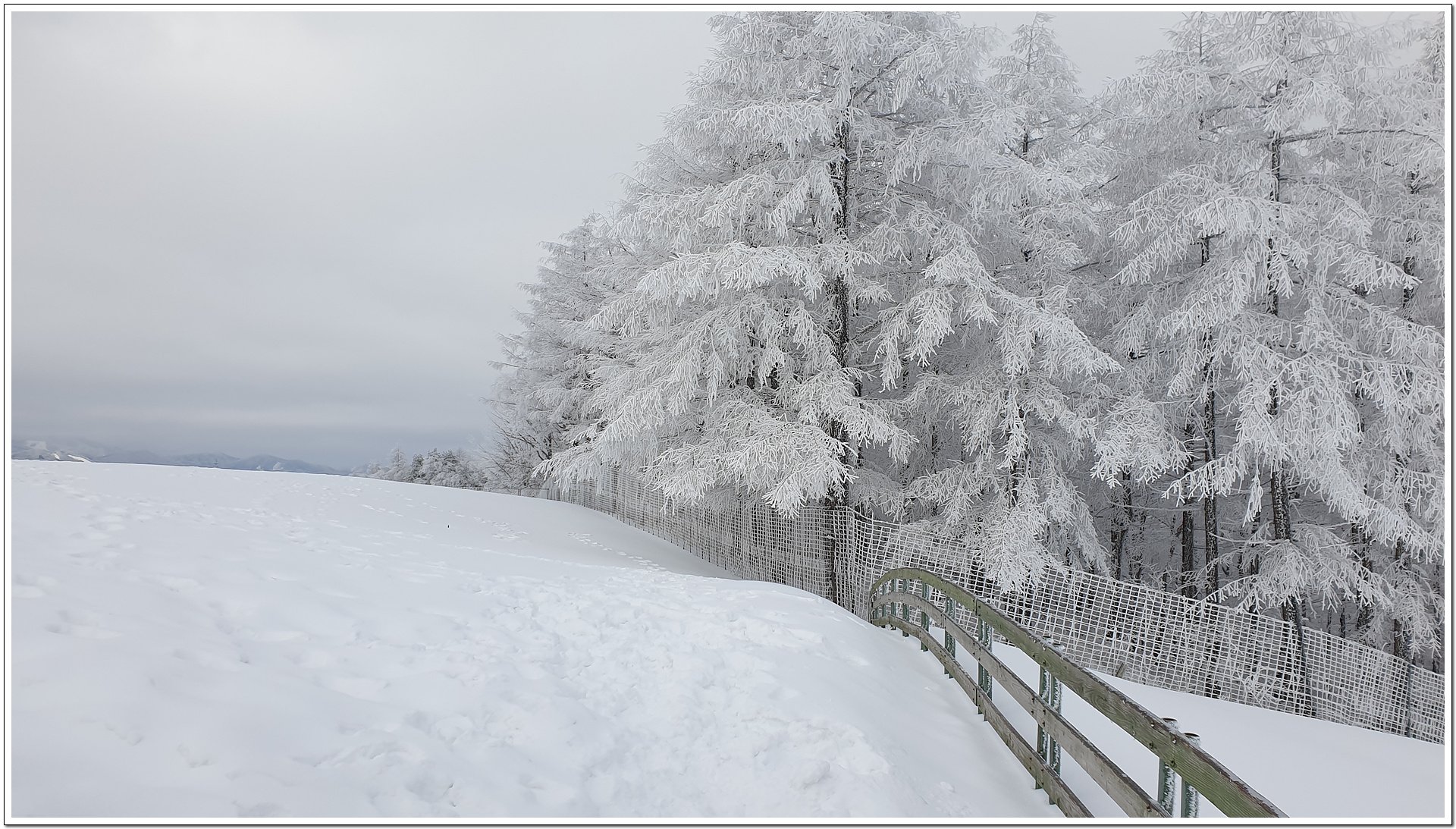 20210307_092829.jpg : 양떼목장의 설경 20210307_092829.jpg : 양떼목장의 설경
