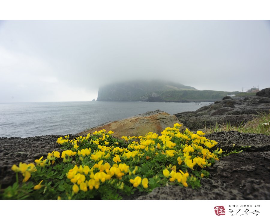 _DSC5123.jpg : 벌노랭이