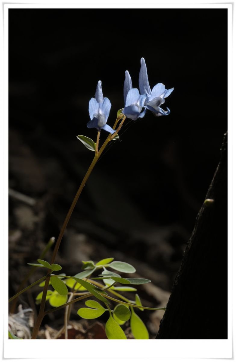 _DSC3766.jpg : 4월 정모 숙제