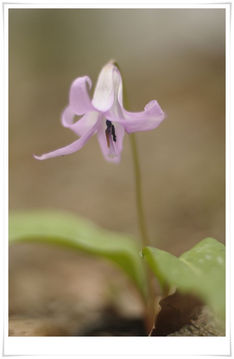 _DSC3724.jpg : 4월 정모 숙제