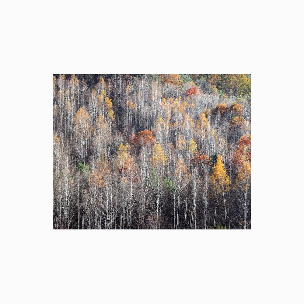 p2[1]-1.jpg : 가을 향기...