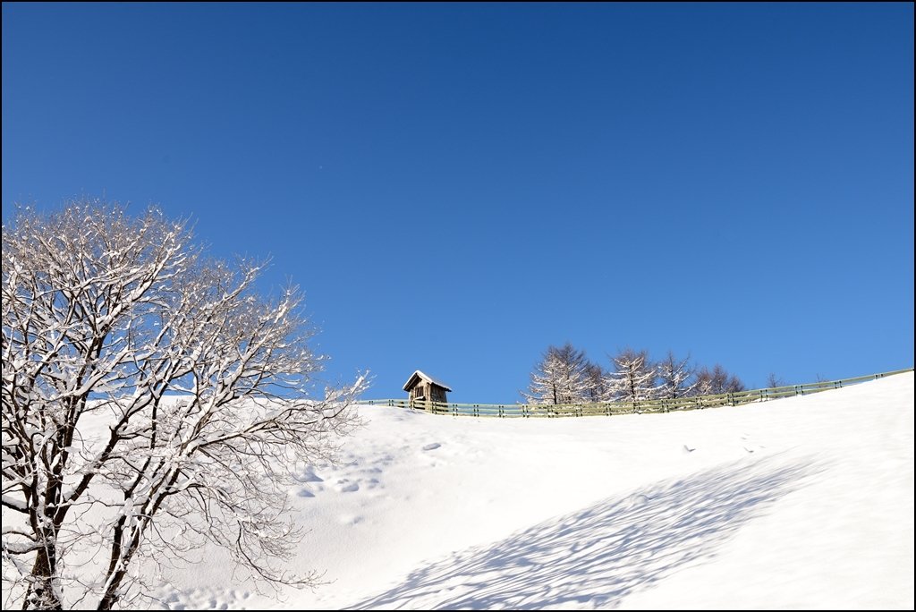 DSC_4597.jpg : 아~~양떼목장