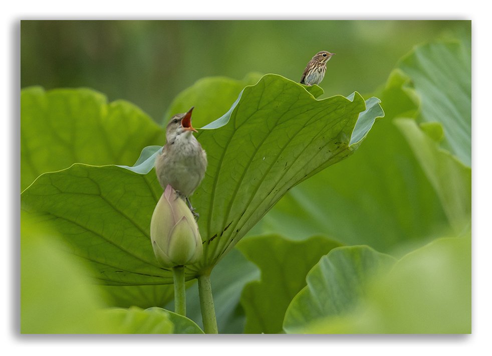 DSC_3971 @@.jpg : 잘 지내시냐요 ??