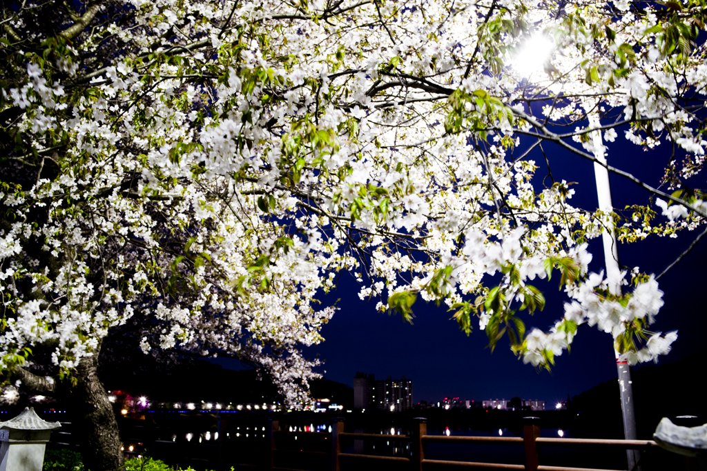 _IMG0157.jpg : 막걸리 한잔에 마주한 풍경