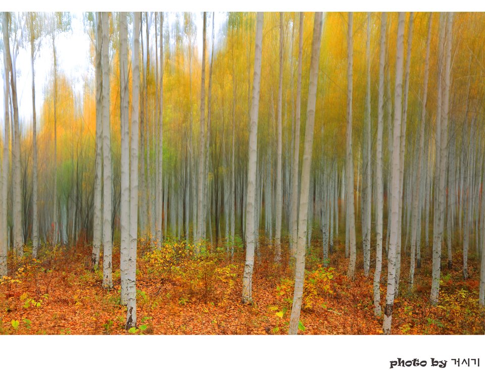 _K4A31975.jpg : 정모 숙제