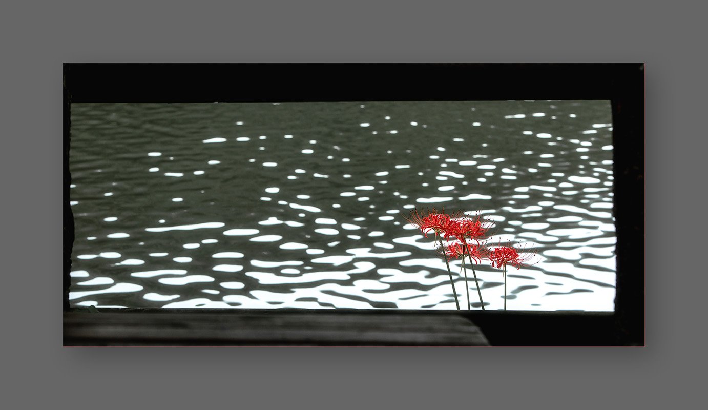 GGS_8165.jpg : 정모숙제