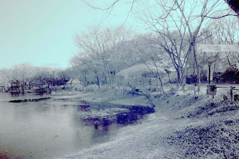 IMG_5203.JPG : 정모 시골마을