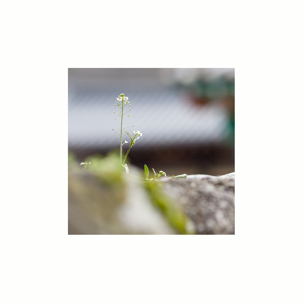 IMG_6593-1.jpg : 다음생엔 자네도