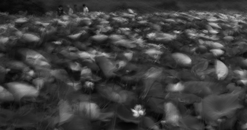 CE3A3710-1B&amp;Wresize.jpg : LOVE IS