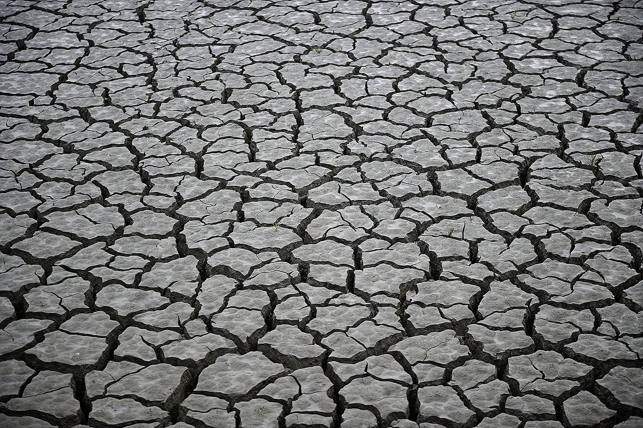 _DSC7775_01.jpg : 갈라진 땅