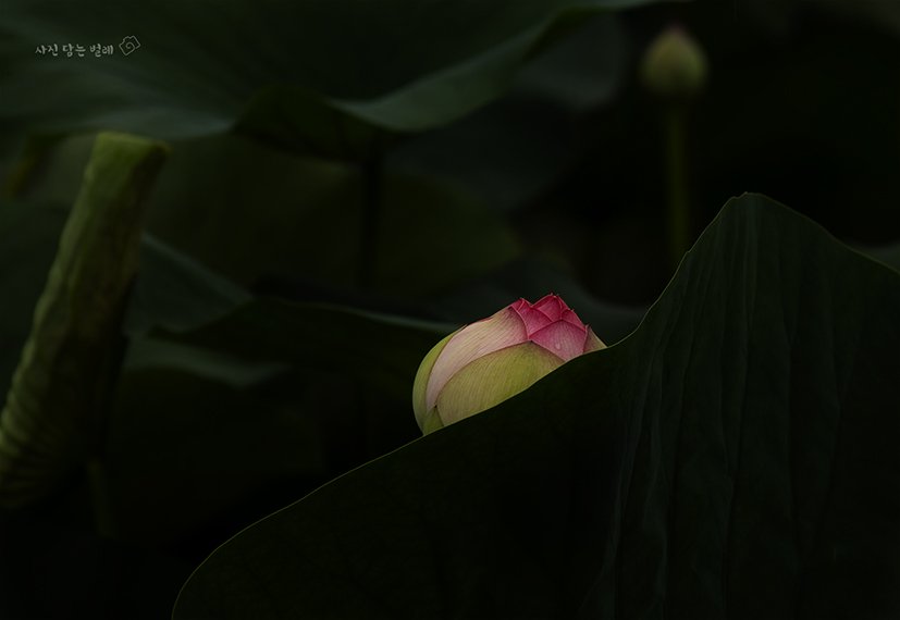 CE3A1388-2resize.jpg : 19살