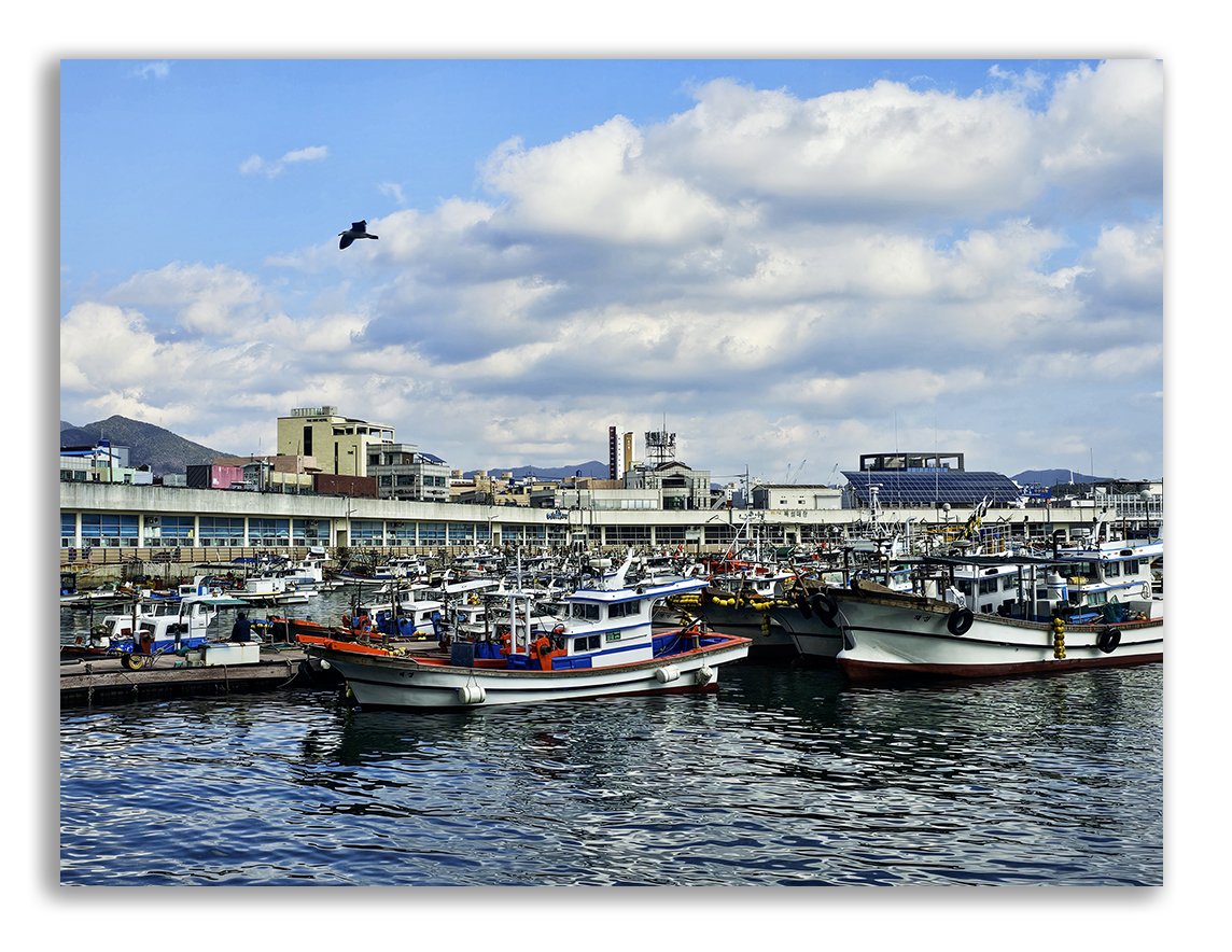 20240114@.jpg : 정박