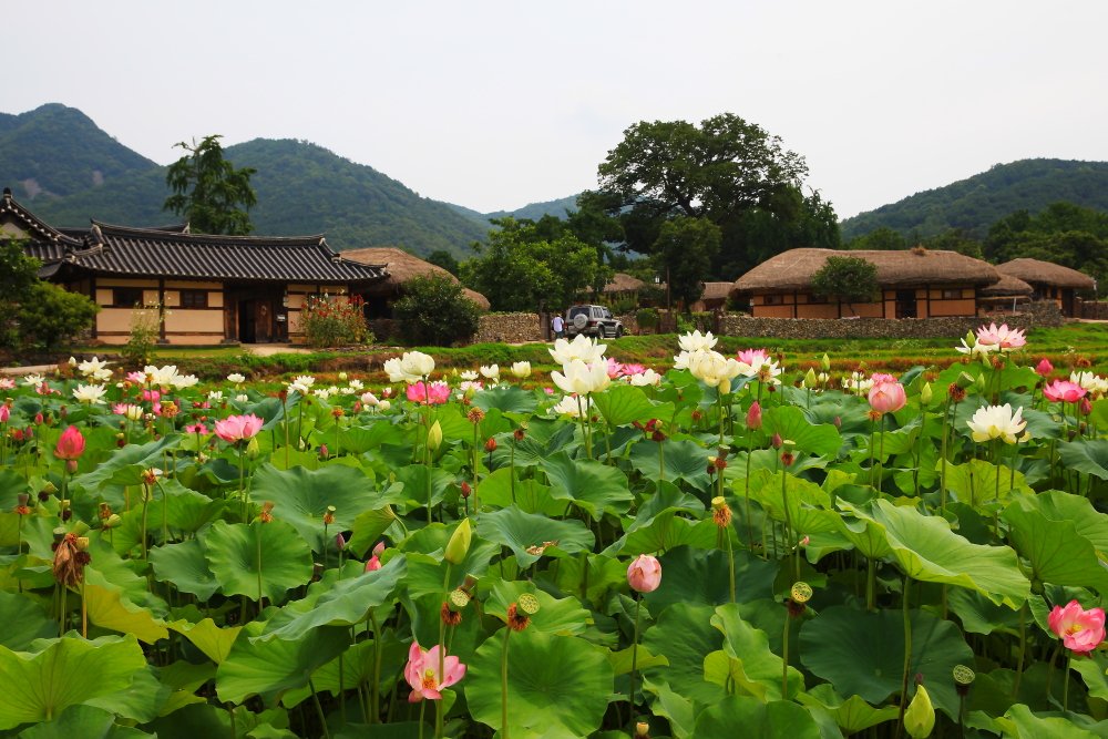 DPP_09.JPG : 외암마을