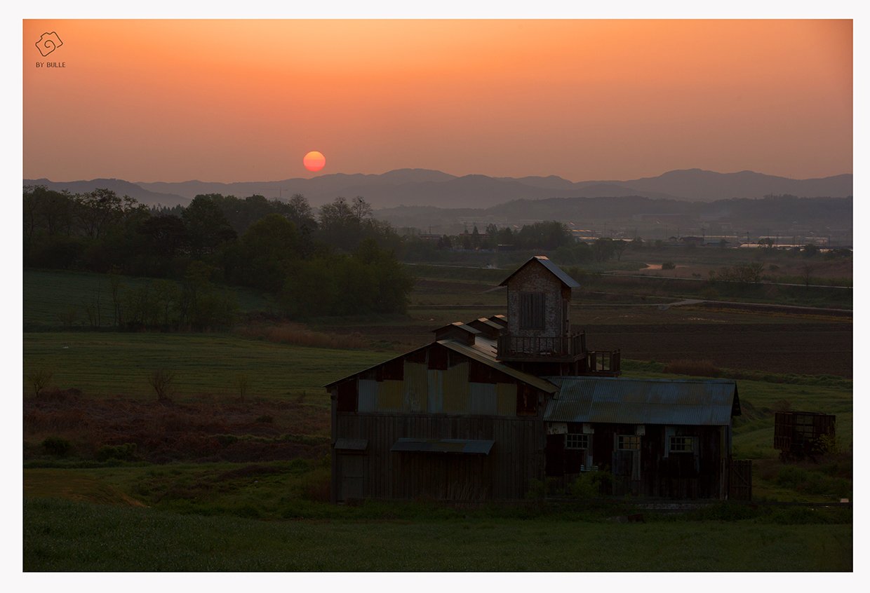 CE3A8607-2resize.jpg : 안성벙개1