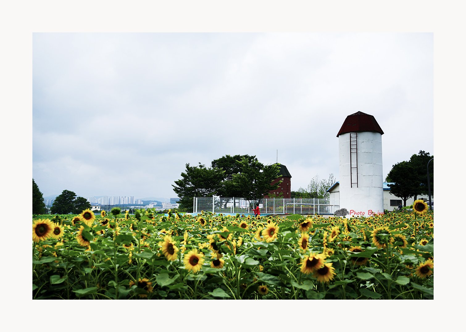 D55A0056-3.jpg : 농장 풍경