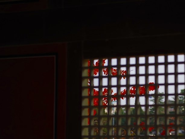 IMGP0794.JPG : 정모 운영진께 감사드립니다.