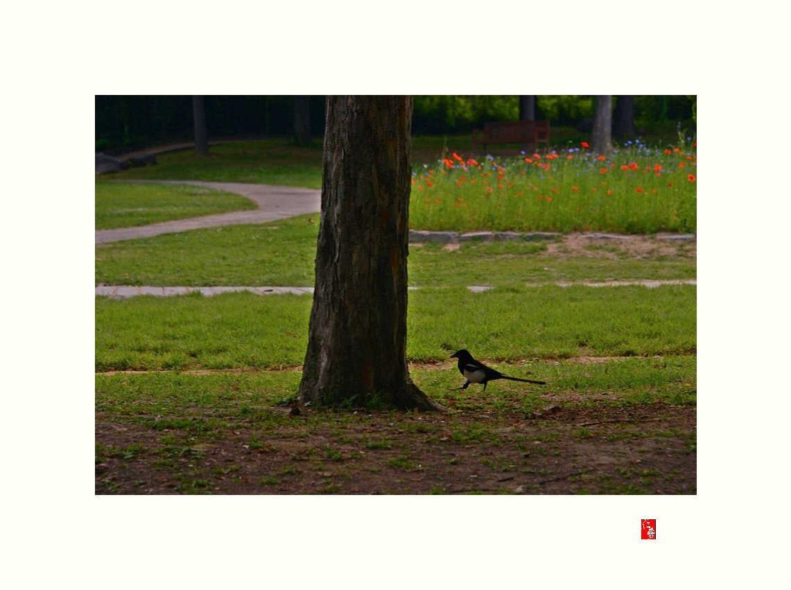 IMG_20180610_085035.jpg : 정모숙제♡서울대공원