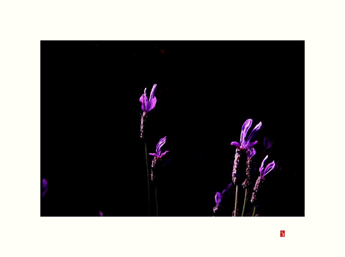 IMG_20180610_090454.jpg : 정모숙제♡서울대공원