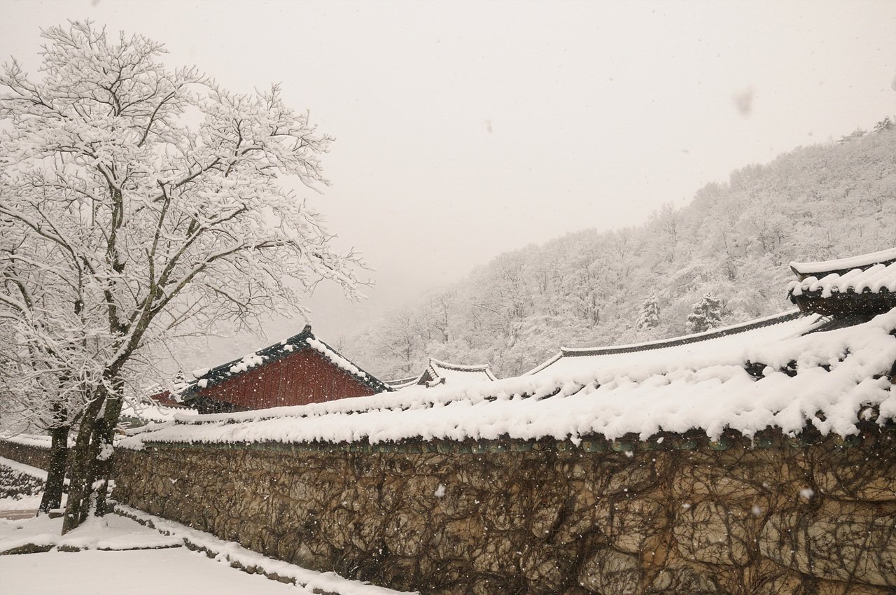 _DSC5406.jpg : 설악산 신흥사에서
