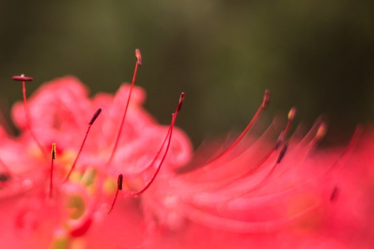 2.jpg : 가을 어느날..