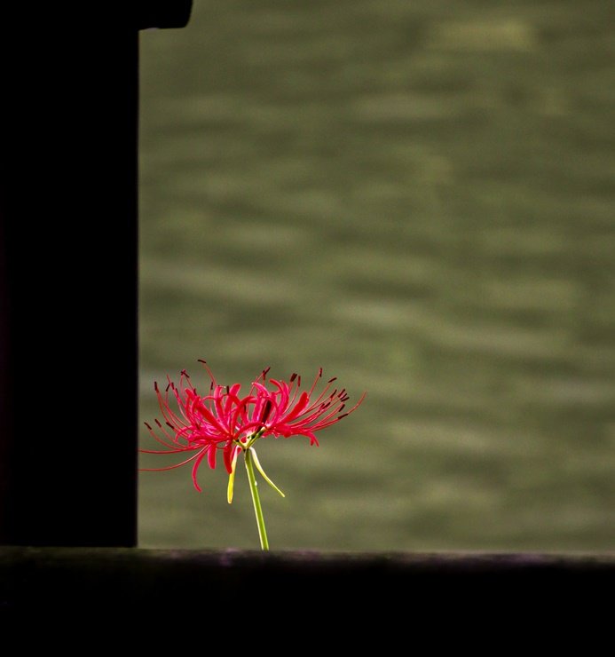 5.jpg : 가을 어느날..