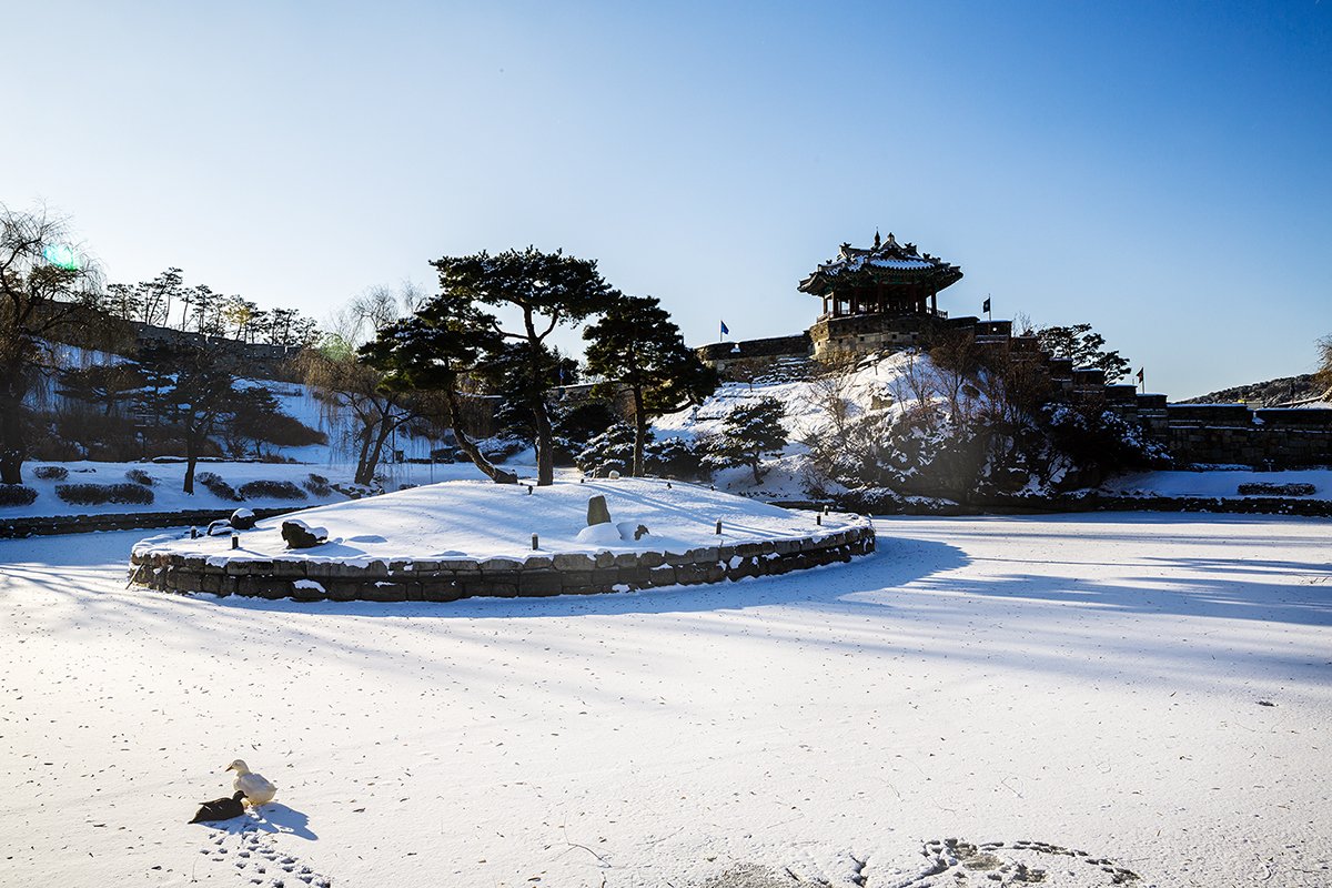 D55A0319-4.jpg : 화성